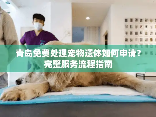 青岛免费处理宠物遗体如何申请？完整服务流程指南