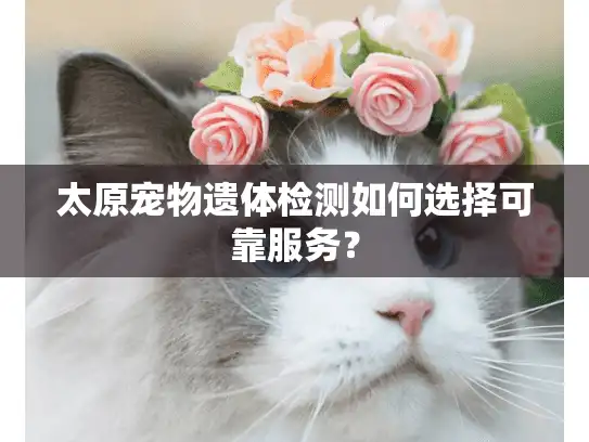 太原宠物遗体检测如何选择可靠服务？