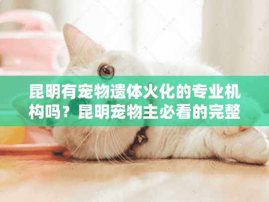 昆明有宠物遗体火化的专业机构吗？昆明宠物主必看的完整指南