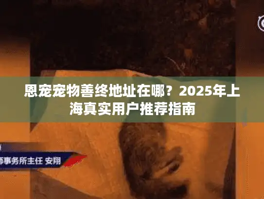 恩宠宠物善终地址在哪?2025年上海真实用户推荐指南 恩宠宠物善终地址在哪?2025年上海真实用户推荐指南