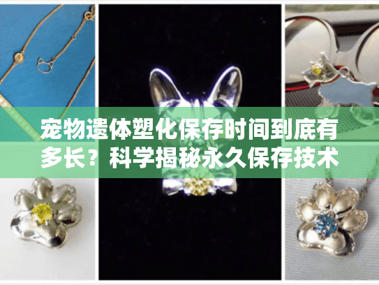 宠物遗体塑化保存时间到底有多长?科学揭秘永久保存技术 宠物遗体塑化保存时间到底有多长?科学揭秘永久保存技术