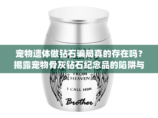 宠物遗体做钻石骗局真的存在吗？揭露宠物骨灰钻石纪念品的陷阱与真相