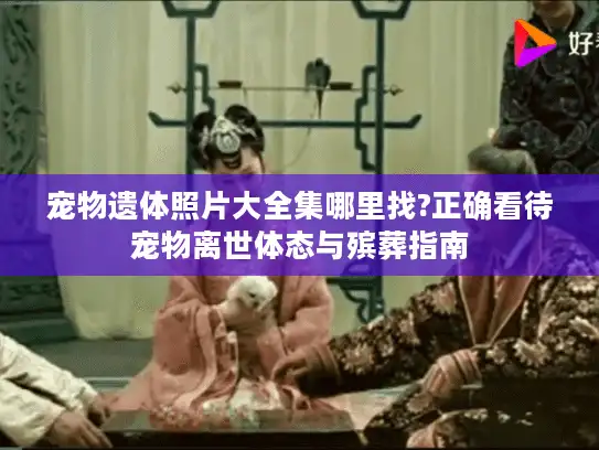 宠物遗体照片大全集哪里找?正确看待宠物离世体态与殡葬指南