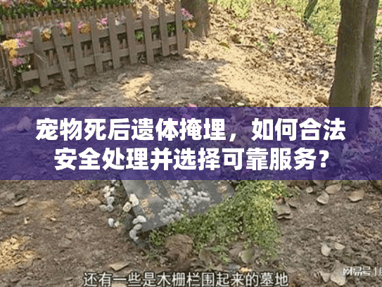 宠物死后遗体掩埋，如何合法安全处理并选择可靠服务？