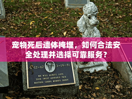 宠物死后遗体掩埋，如何合法安全处理并选择可靠服务？