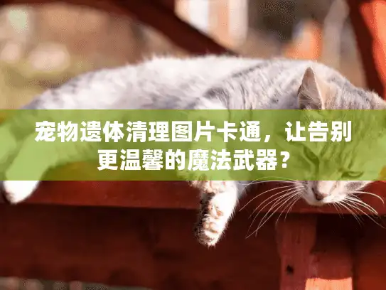 宠物遗体清理图片卡通，让告别更温馨的魔法武器？