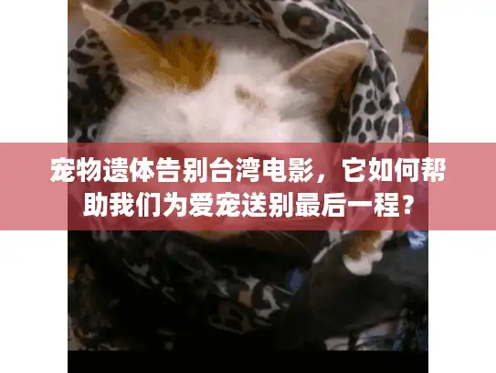 宠物遗体告别台湾电影,它如何帮助我们为爱宠送别最后一程? 宠物遗体告别台湾电影,它如何帮助我们为爱宠送别最后一程?