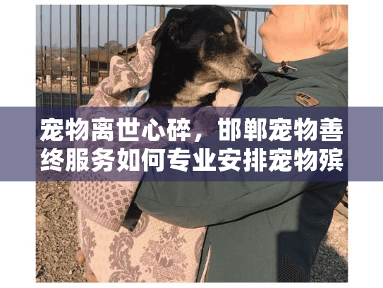 宠物离世心碎，邯郸宠物善终服务如何专业安排宠物殡葬？