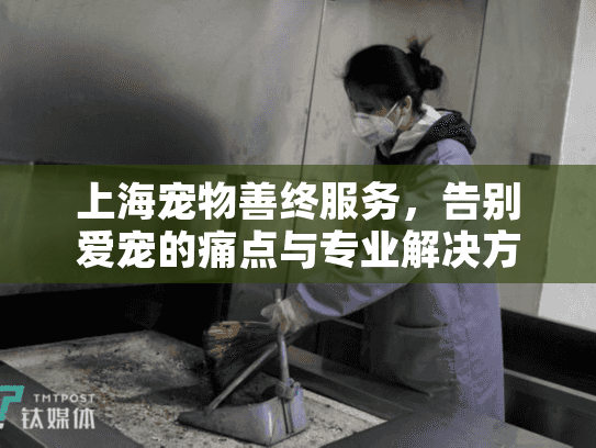 上海宠物善终服务,告别爱宠的痛点与专业解决方案 上海宠物善终服务,告别爱宠的痛点与专业解决方案