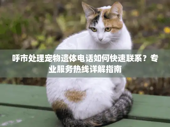 呼市处理宠物遗体电话如何快速联系？专业服务热线详解指南