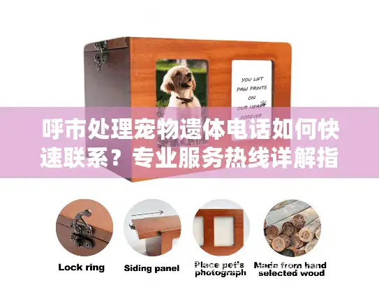 呼市处理宠物遗体电话如何快速联系？专业服务热线详解指南