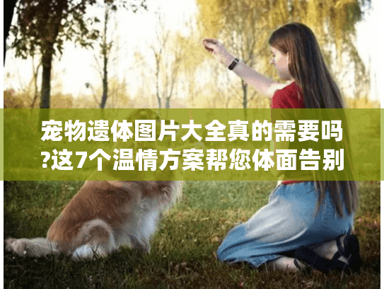 宠物遗体图片大全真的需要吗?这7个温情方案帮您体面告别 宠物遗体图片大全真的需要吗?这7个温情方案帮您体面告别