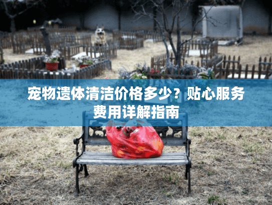 宠物遗体清洁价格多少？贴心服务费用详解指南