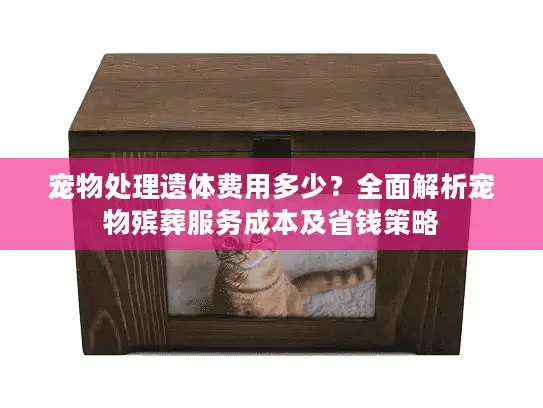 宠物处理遗体费用多少？全面解析宠物殡葬服务成本及省钱策略