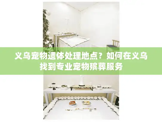 义乌宠物遗体处理地点？如何在义乌找到专业宠物殡葬服务