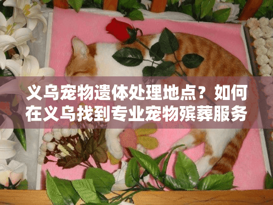 义乌宠物遗体处理地点？如何在义乌找到专业宠物殡葬服务