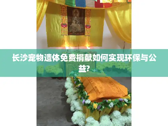 长沙宠物遗体免费捐献如何实现环保与公益?