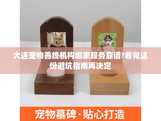 大连宠物善终机构哪家服务靠谱?看完这份避坑指南再决定