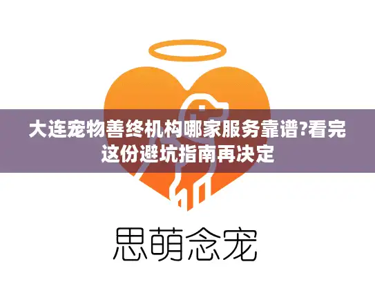 大连宠物善终机构哪家服务靠谱?看完这份避坑指南再决定