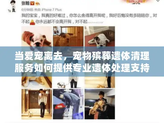 当爱宠离去,宠物殡葬遗体清理服务如何提供专业遗体处理支持? 当爱宠离去,宠物殡葬遗体清理服务如何提供专业遗体处理支持?
