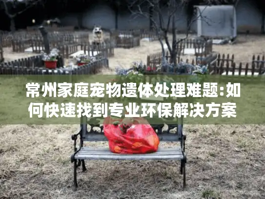 常州家庭宠物遗体处理难题:如何快速找到专业环保解决方案