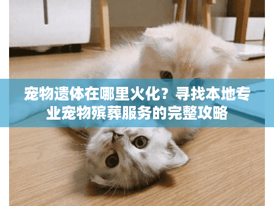 宠物遗体在哪里火化？寻找本地专业宠物殡葬服务的完整攻略
