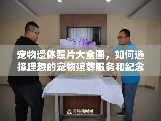 宠物遗体照片大全图，如何选择理想的宠物殡葬服务和纪念方式？