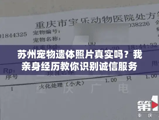 苏州宠物遗体照片真实吗？我亲身经历教你识别诚信服务