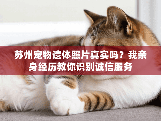苏州宠物遗体照片真实吗？我亲身经历教你识别诚信服务