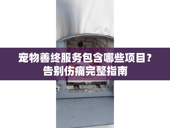 宠物善终服务包含哪些项目？告别伤痛完整指南