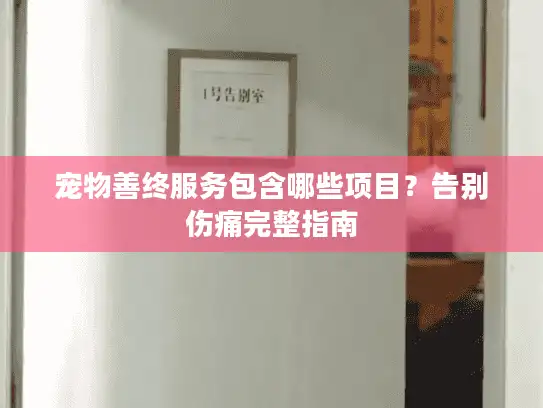 宠物善终服务包含哪些项目？告别伤痛完整指南