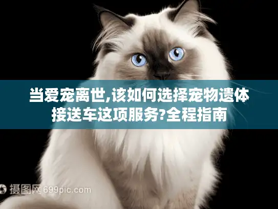 当爱宠离世,该如何选择宠物遗体接送车这项服务?全程指南