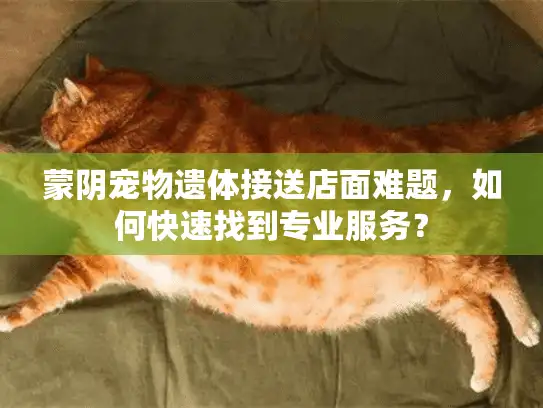 蒙阴宠物遗体接送店面难题,如何快速找到专业服务? 蒙阴宠物遗体接送店面难题,如何快速找到专业服务?