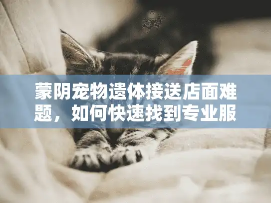 蒙阴宠物遗体接送店面难题,如何快速找到专业服务? 蒙阴宠物遗体接送店面难题,如何快速找到专业服务?