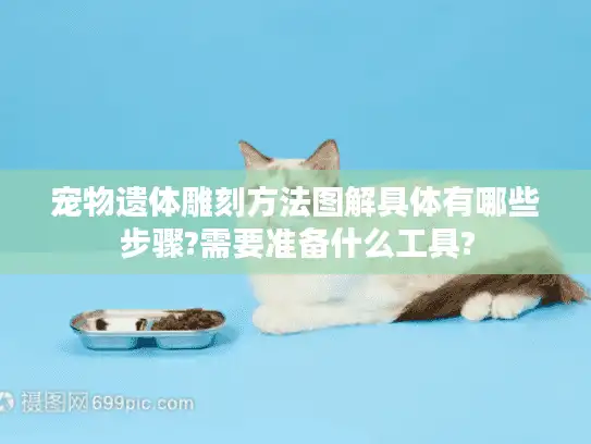 宠物遗体雕刻方法图解具体有哪些步骤?需要准备什么工具?