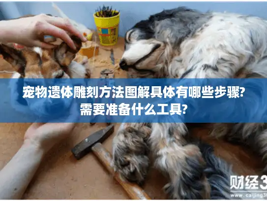 宠物遗体雕刻方法图解具体有哪些步骤?需要准备什么工具?