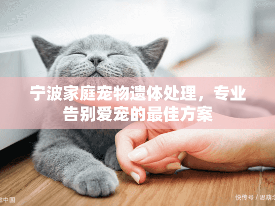 宁波家庭宠物遗体处理，专业告别爱宠的最佳方案