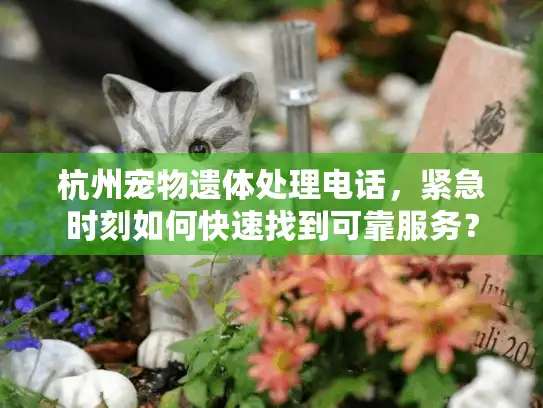 杭州宠物遗体处理电话,紧急时刻如何快速找到可靠服务? 杭州宠物遗体处理电话,紧急时刻如何快速找到可靠服务?