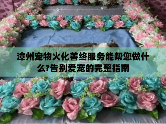 漳州宠物火化善终服务能帮您做什么?告别爱宠的完整指南