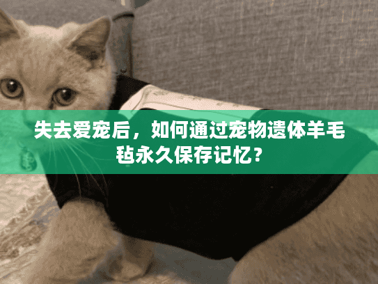 失去爱宠后，如何通过宠物遗体羊毛毡永久保存记忆？