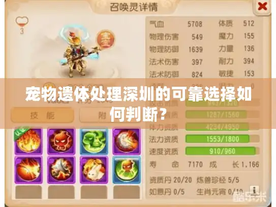 宠物遗体处理深圳的可靠选择如何判断？