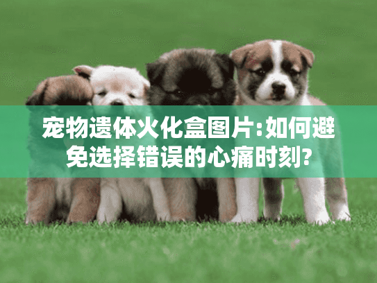 宠物遗体火化盒图片:如何避免选择错误的心痛时刻?