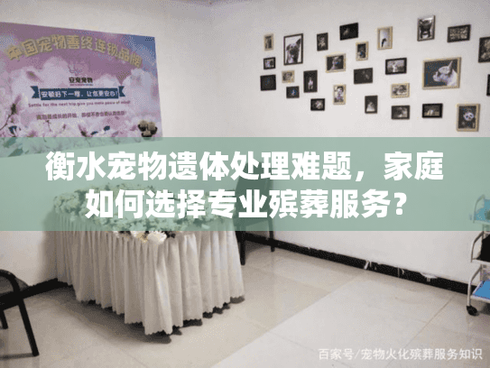 衡水宠物遗体处理难题，家庭如何选择专业殡葬服务？