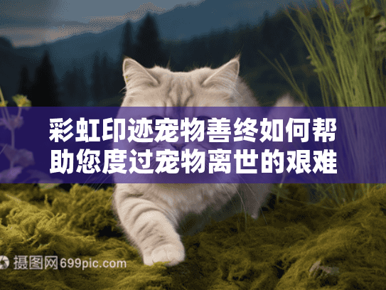 彩虹印迹宠物善终如何帮助您度过宠物离世的艰难时刻? 彩虹印迹宠物善终如何帮助您度过宠物离世的艰难时刻?