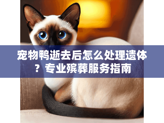 宠物鸭逝去后怎么处理遗体？专业殡葬服务指南