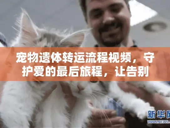 宠物遗体转运流程视频,守护爱的最后旅程,让告别安心进行 宠物遗体转运流程视频,守护爱的最后旅程,让告别安心进行