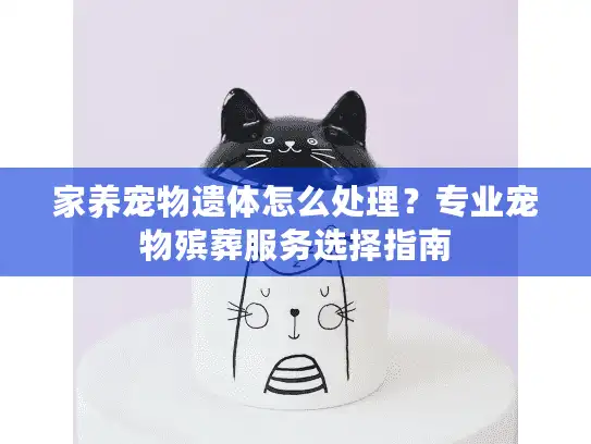 家养宠物遗体怎么处理？专业宠物殡葬服务选择指南