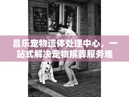 昌乐宠物遗体处理中心，一站式解决宠物殡葬服务难题