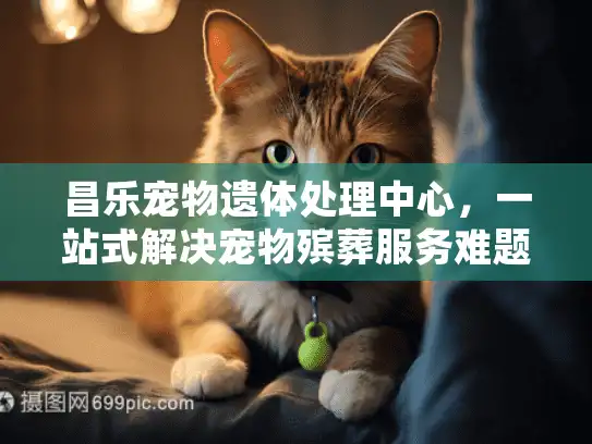 昌乐宠物遗体处理中心，一站式解决宠物殡葬服务难题