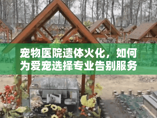 宠物医院遗体火化，如何为爱宠选择专业告别服务？